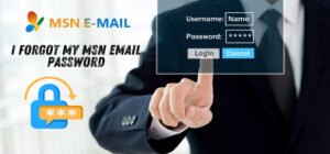 Forgot MSN Email Password