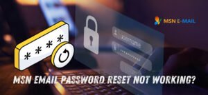 MSN Email Password Reset Not Working